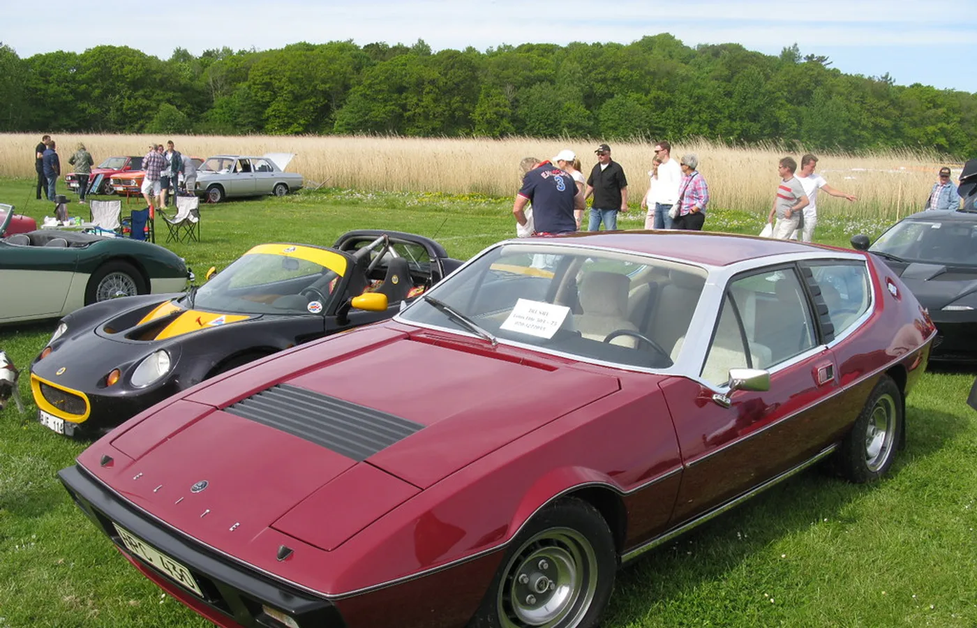 Lotus Elite, vue extérieure du modèle